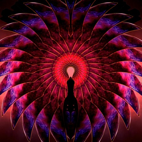 Butterfly Vortex