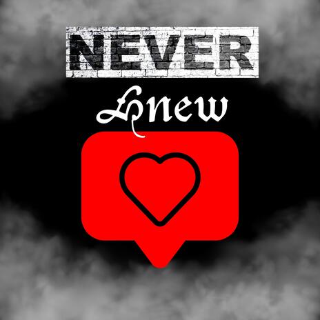 Never Knew cover art