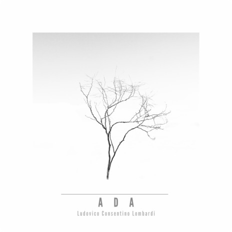 Adagio 106 en mi bemol cover art