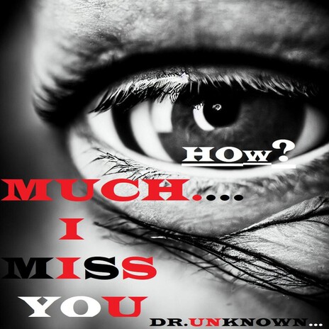HOW MUCH I MISS YOU cover art