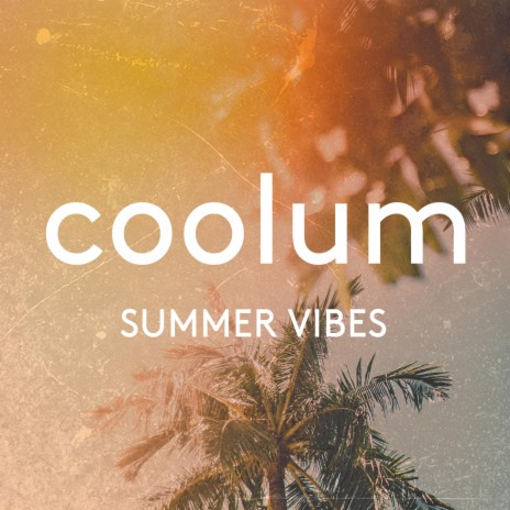 Summer Vibes cover art