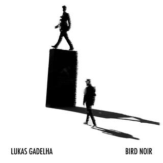 Bird Noir