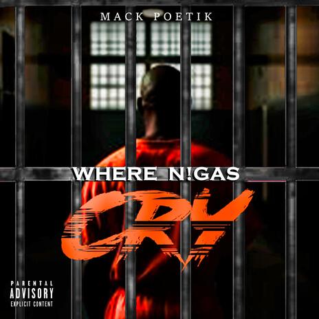 Where N!gas Cry cover art