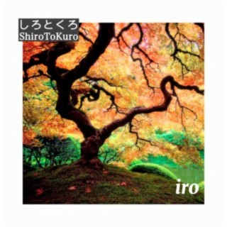 Iro