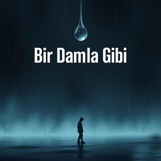 Bir Damla Gibi cover art