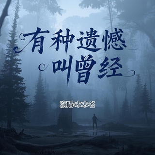 有种遗憾叫曾经 cover art