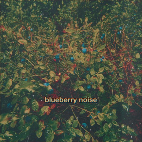 blueberry noise cover art