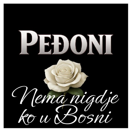 Nema nigdje ko u Bosni cover art