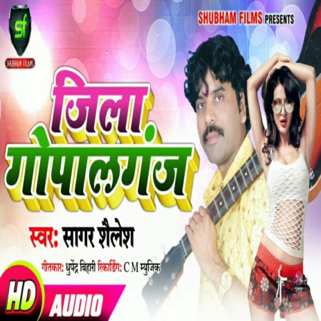 Jila Gopalganj cover art