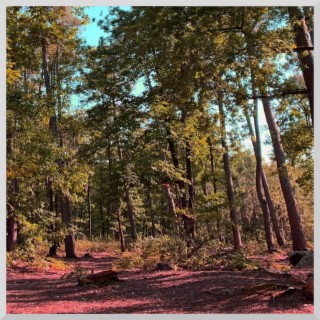 Souvenirs cover art