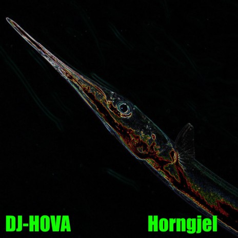 Horngjel cover art
