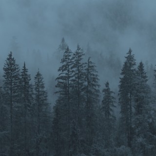 RCN