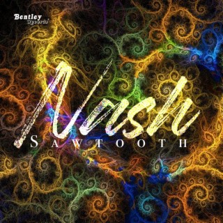 Nash cover art