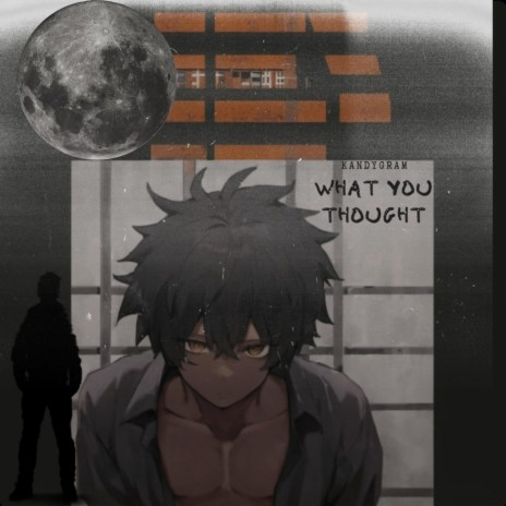 What You Thought cover art