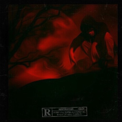 VICE ROUGE