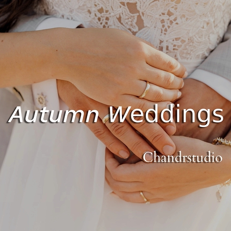Elegante Wedding Theme cover art