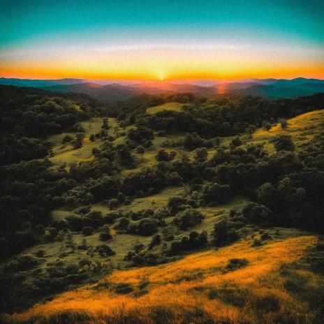 Wake Me Up cover art