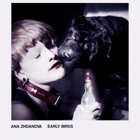 Hairdresser's Dream cover art