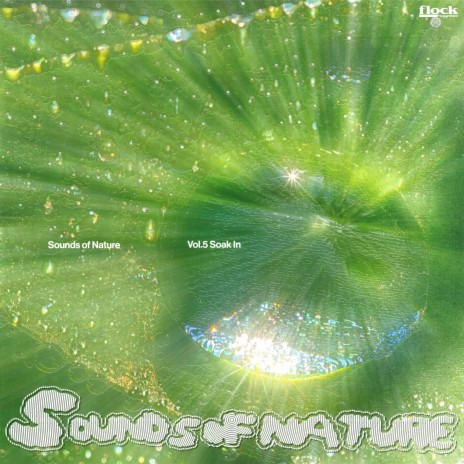 Drizzle cover art