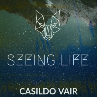 Seeing Life