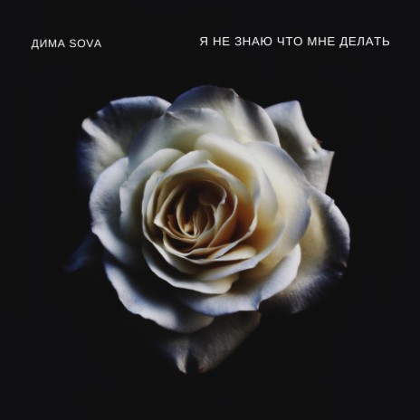 Я не знаю что мне делать cover art