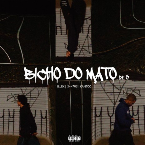 Bicho do Mato, Pt. 3 ft. Kantco & $4n70$ cover art