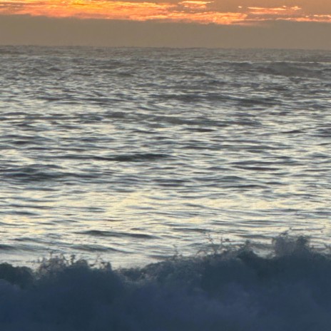 Music Comes Alive. cover art