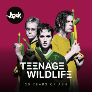 Teenage Wildlife (25 Years of Ash)