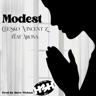 Modest ft. Vincent Z & Arona cover art