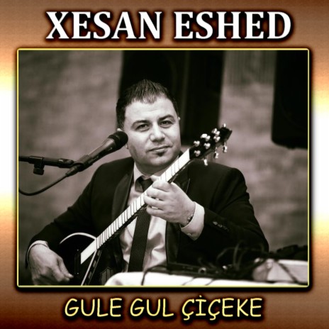 Gule Gulciceke cover art