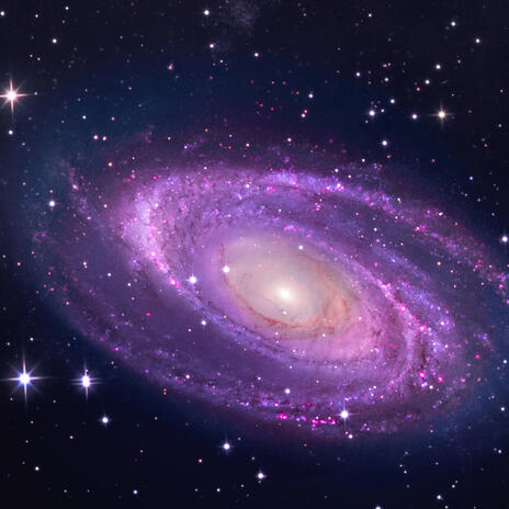 The Entire Universe cover art