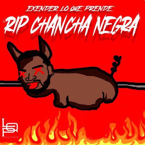 RIP CHANCHA NEGRA