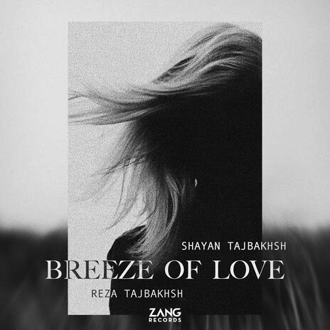 Breeze Of Love ft. Reza Tajbakhsh cover art