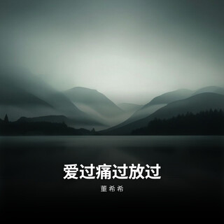 爱过痛过放过 cover art
