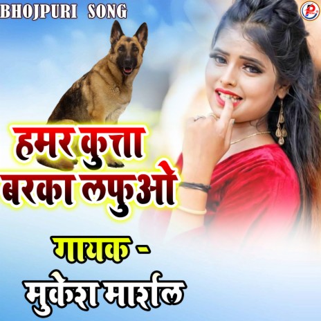 Hamar Kutta Barka Lafua cover art