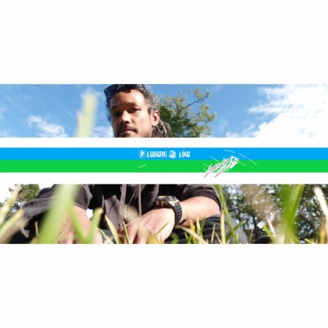 Vista cover art