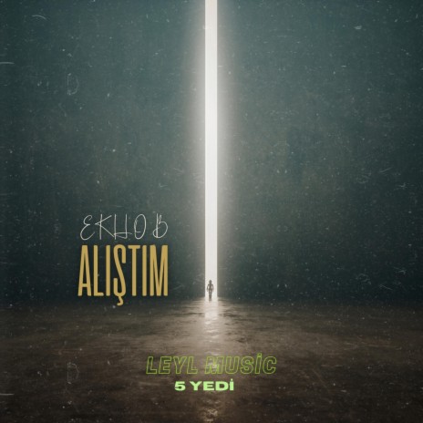 Alıştım cover art