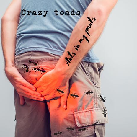 Ants in my pants cover art