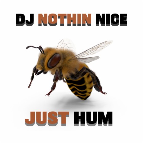 Just Hum cover art