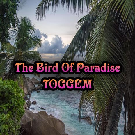 The Bird Of Paradise