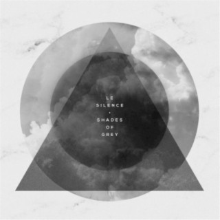 Shades of Grey cover art