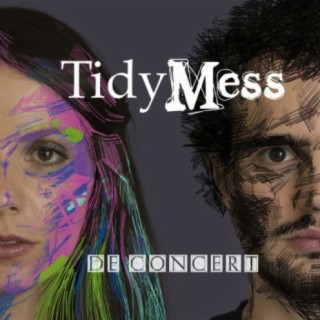 TidyMess
