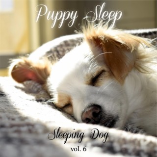 Puppy Sleep