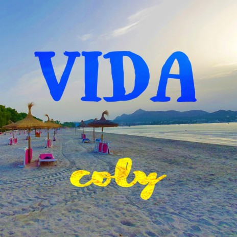 VIDA cover art