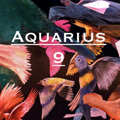 Aquarius 9 cover art