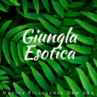 Giungla Esotica: Musica Rilassante New Age, Musica per Meditare, Musica Buddista