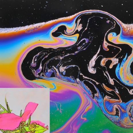 Vital yet Probable cover art