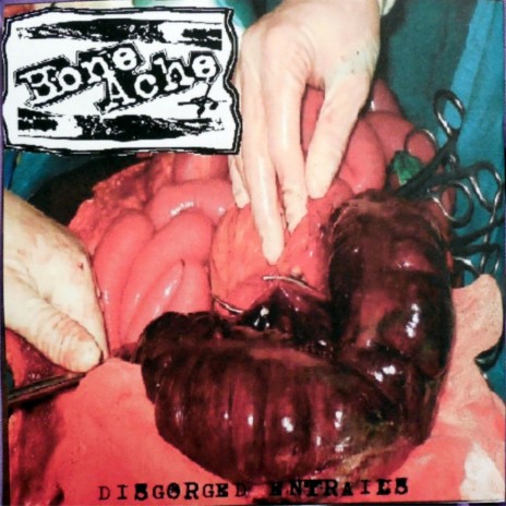 The Human Body After Death cover art