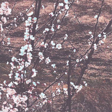 saku ft. YO cover art