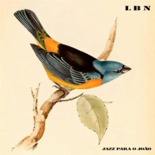 Jazz Para O João cover art